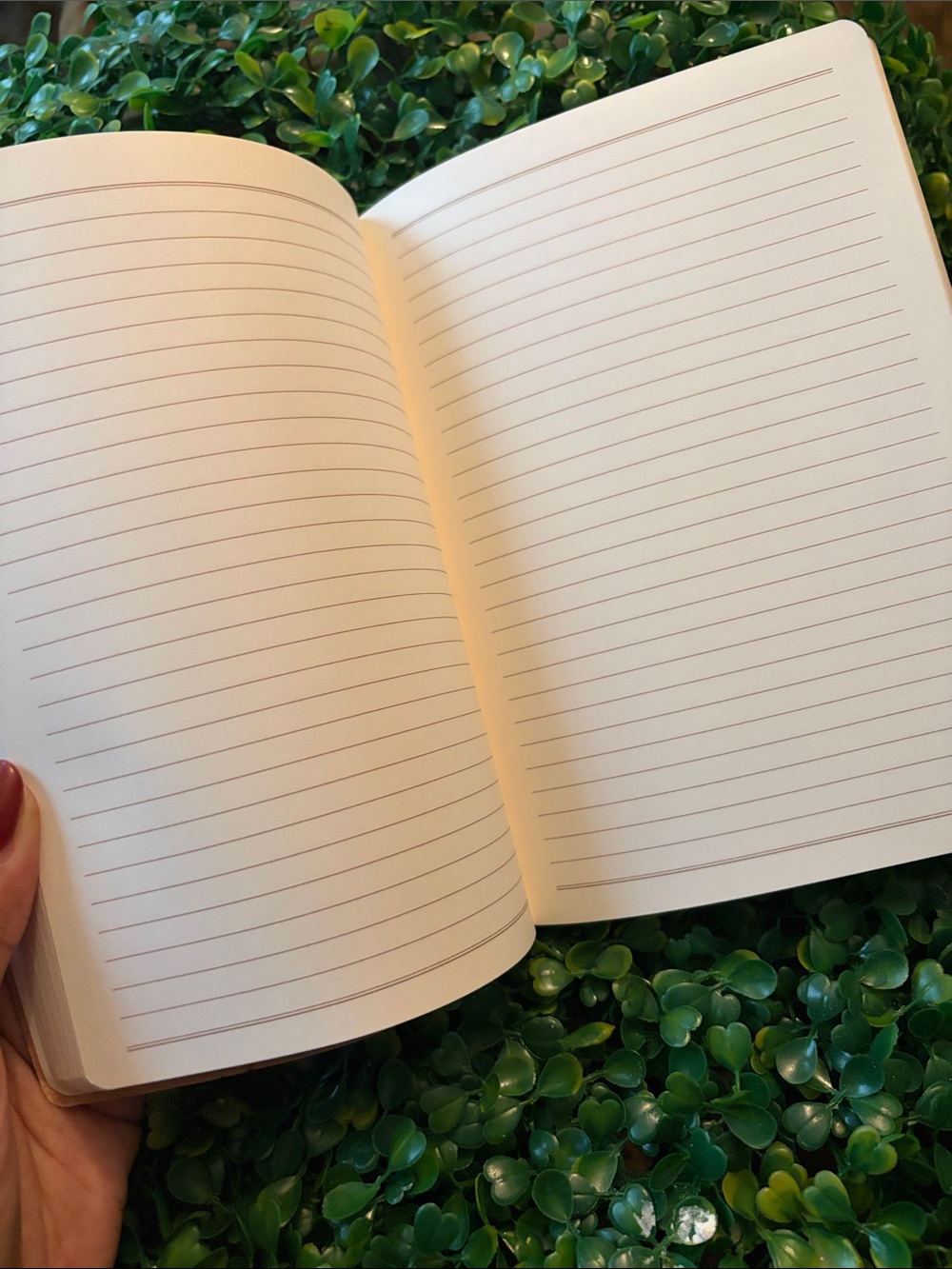 Notebooks - Picture 2 of 4
